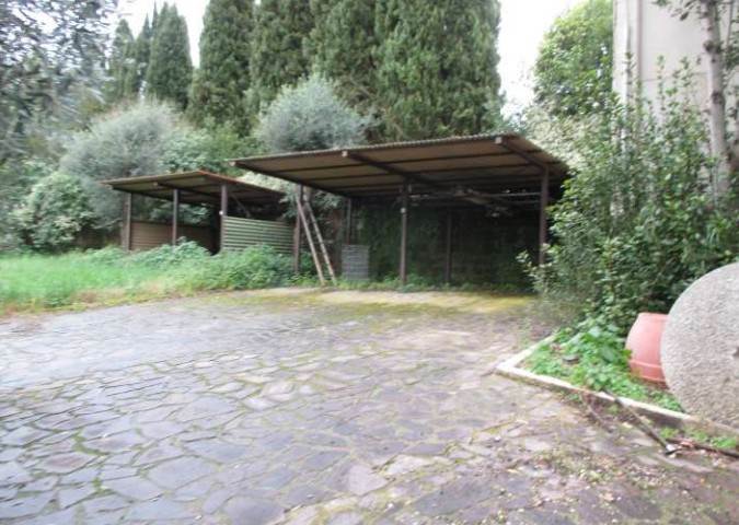Photo 31