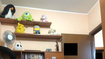 Photo 31