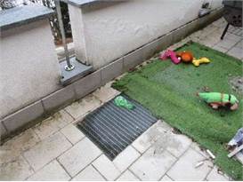 Photo 30